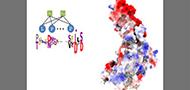 Funneling modulatory peptide design with generative models: Discovery and characterization of disruptors of calcineurin protein-protein interactions