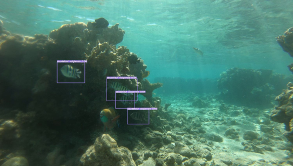 Developing an Acoustic Monitoring Tool for Coral Reef Health