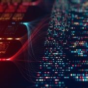 Information Velocity of Distributed Large-Scale AI Models Information Velocity of Distributed Large-Scale AI Models