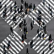 How recommendation systems lead to polarization. Photo by Ryoji Iwata on Unsplash